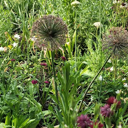 The Senator - Luxury Near The Royal Lazienki Park Warschau