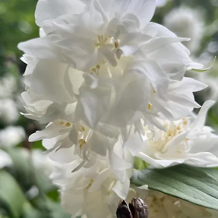 Apartamento The Senator - Luxury Near The Royal Lazienki Park