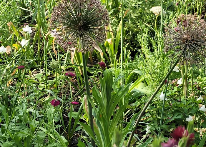 The Senator - Luxury Near The Royal Lazienki Park Warszawa